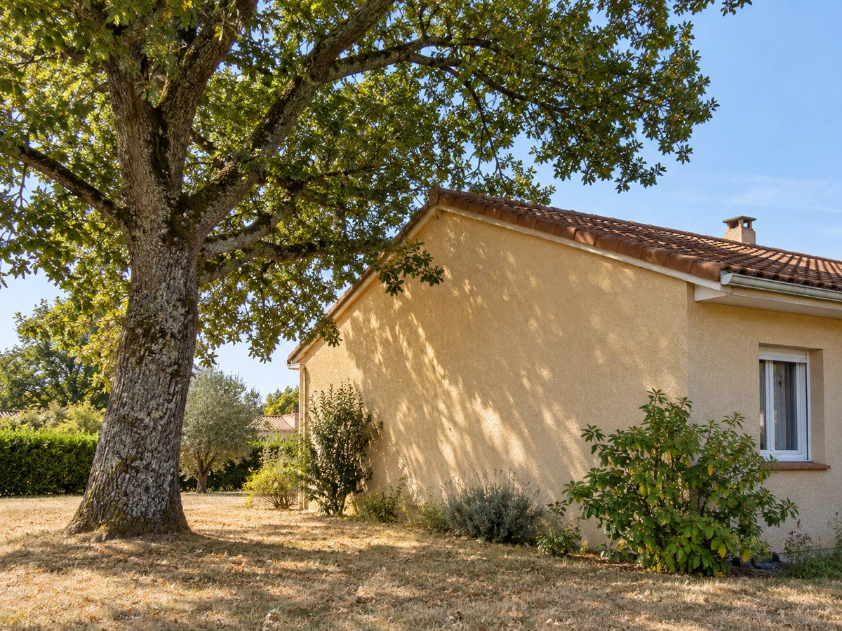 Grand arbre à quelques mètres de la façade fissurée : photo